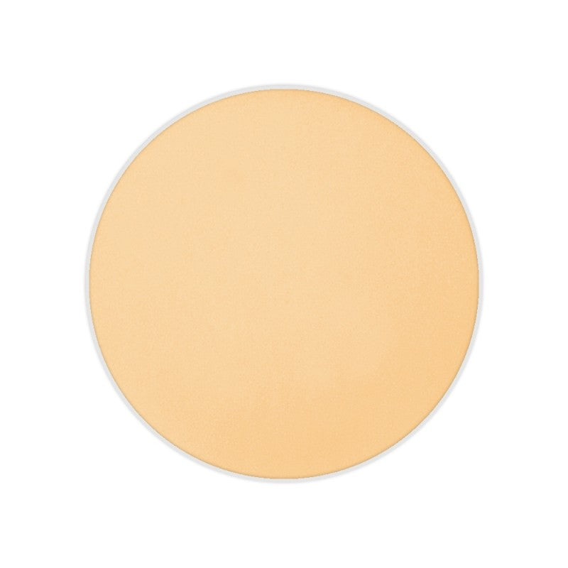 Dual Finish Foundation Wet/Dry