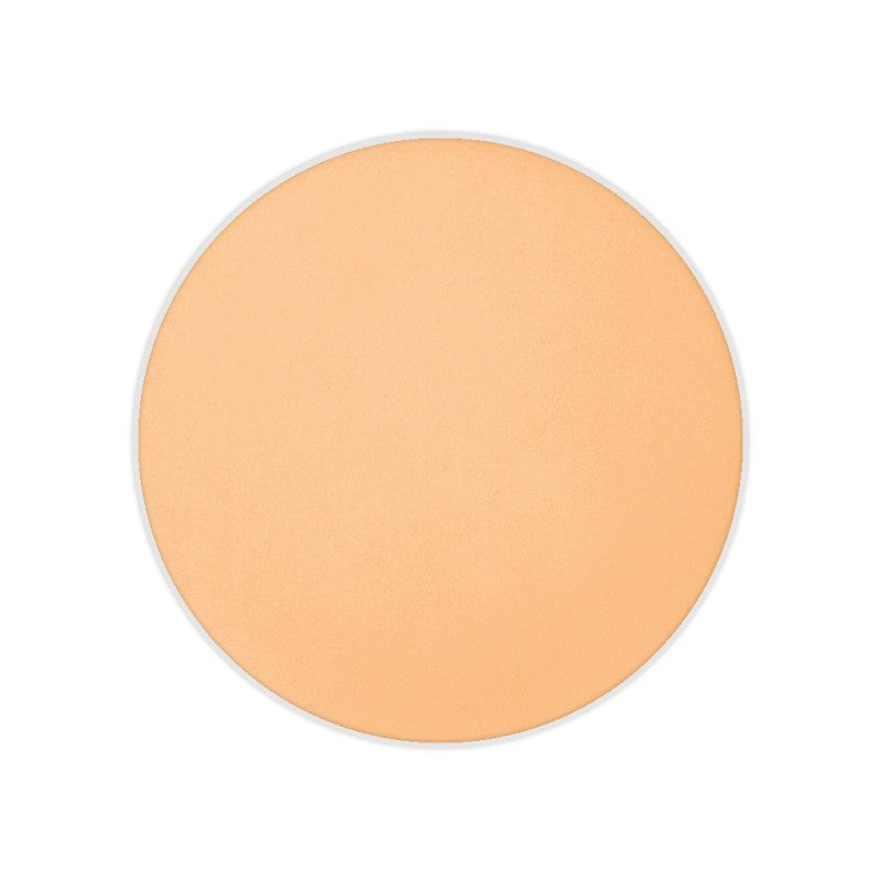Dual Finish Foundation Wet/Dry