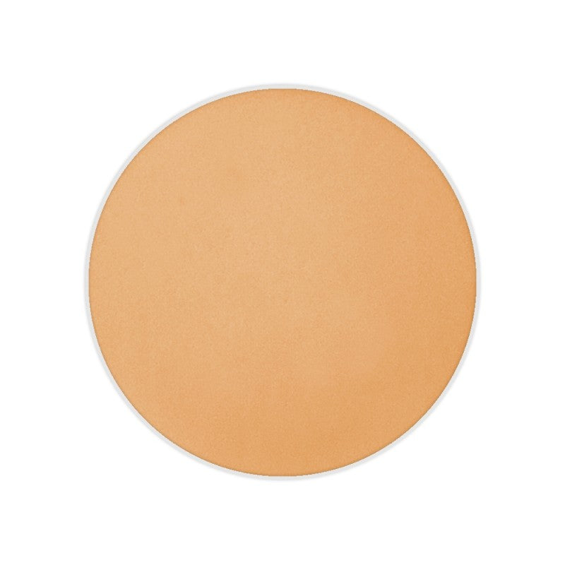 Dual Finish Foundation Wet/Dry
