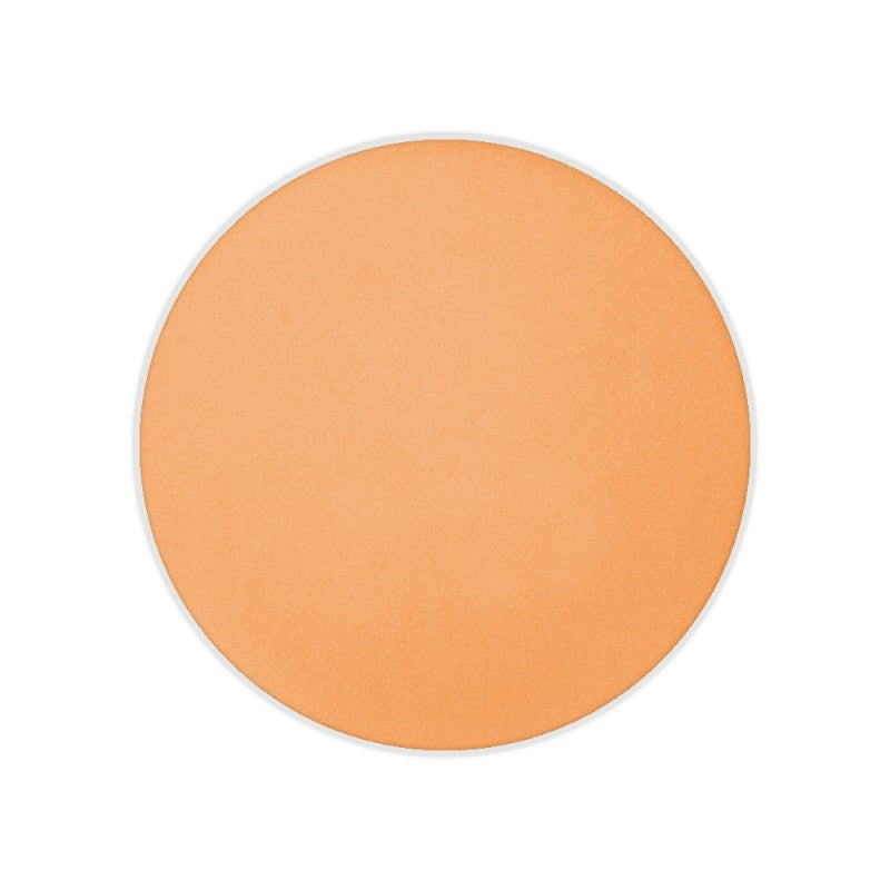 Dual Finish Foundation Wet/Dry