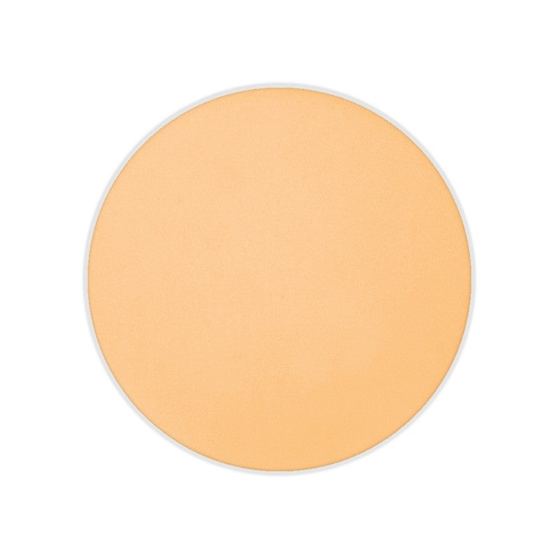 Dual Finish Foundation Wet/Dry