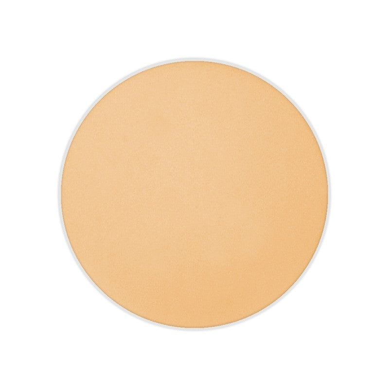 Dual Finish Foundation Wet/Dry