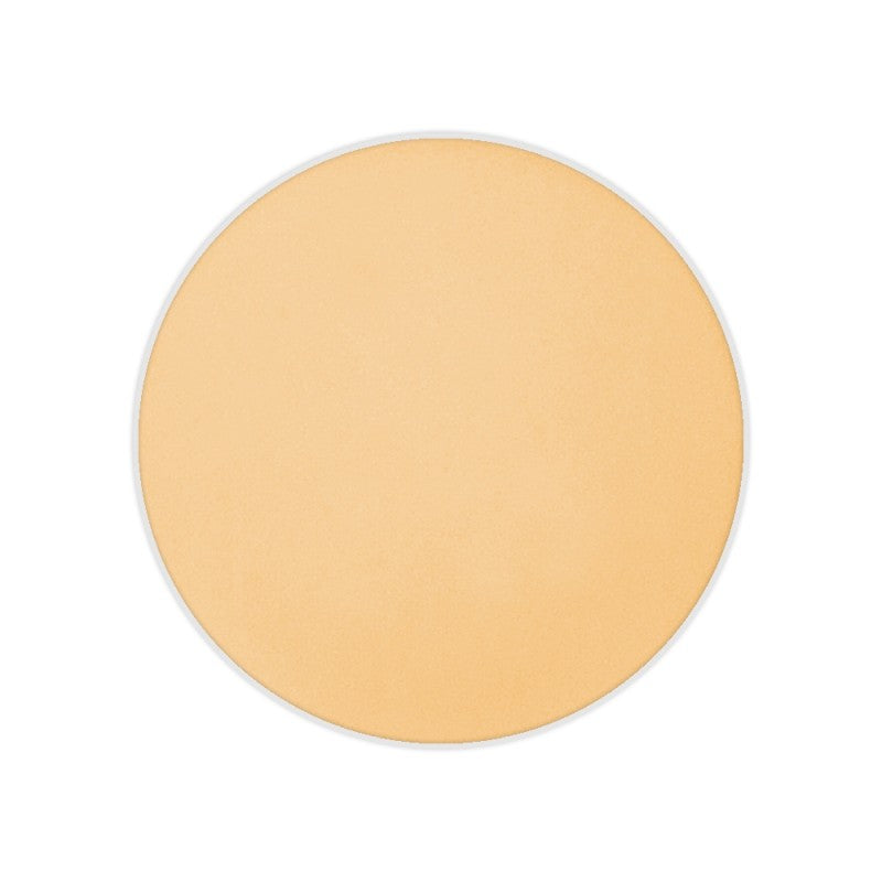 Dual Finish Foundation Wet/Dry