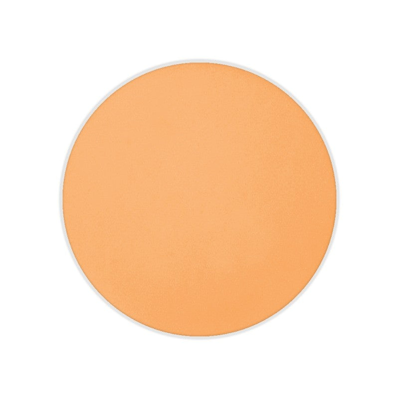 Dual Finish Foundation Wet/Dry