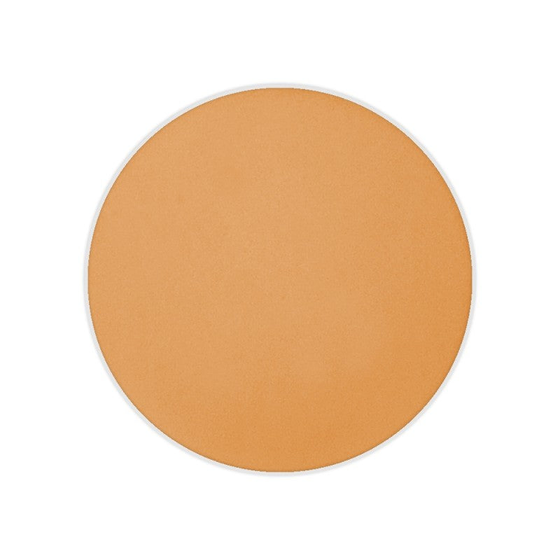 Dual Finish Foundation Wet/Dry