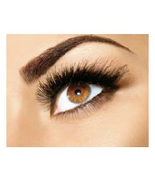 Waterproof Automatic Retractable Eyebrow & Eye Liner Pencil - Soft, Easy blending, Long lasting waterproof