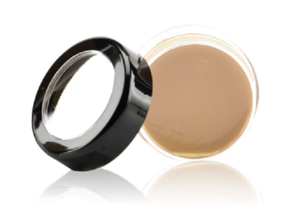 Picture Perfect HD Crème Foundation Total Coverage